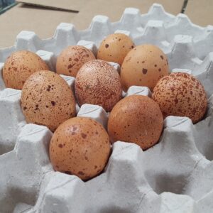 Speckled Egger™